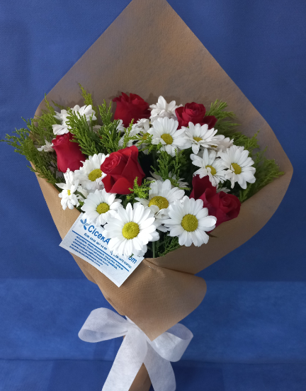 8-papatya-3-kirmizi-gul