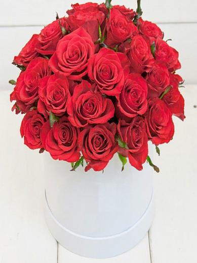 kutuda-22-kirmizi-gul-grup